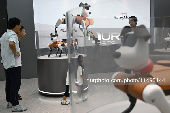 People are watching BabyAlpha, the 6th generation robot dog, at Deji Square in Nanjing, China, on August 20, 2024. This is the first artific...