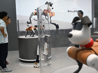 People are watching BabyAlpha, the 6th generation robot dog, at Deji Square in Nanjing, China, on August 20, 2024. This is the first artific...