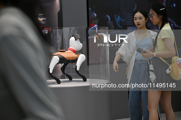 People are watching BabyAlpha, the 6th generation robot dog, at Deji Square in Nanjing, China, on August 20, 2024. This is the first artific...