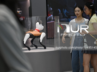 People are watching BabyAlpha, the 6th generation robot dog, at Deji Square in Nanjing, China, on August 20, 2024. This is the first artific...