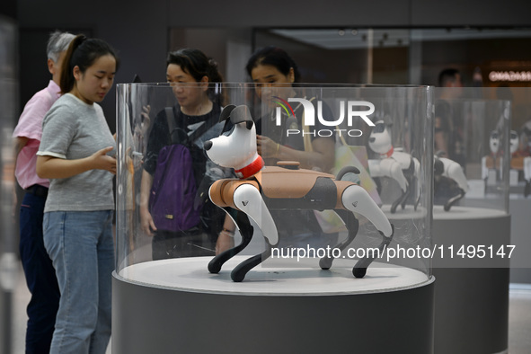 People are watching BabyAlpha, the 6th generation robot dog, at Deji Square in Nanjing, China, on August 20, 2024. This is the first artific...