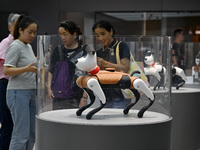 People are watching BabyAlpha, the 6th generation robot dog, at Deji Square in Nanjing, China, on August 20, 2024. This is the first artific...