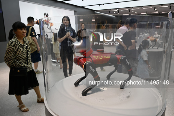 People are watching BabyAlpha, the 6th generation robot dog, at Deji Square in Nanjing, China, on August 20, 2024. This is the first artific...