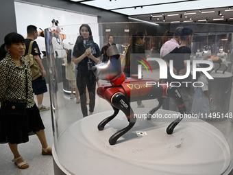 People are watching BabyAlpha, the 6th generation robot dog, at Deji Square in Nanjing, China, on August 20, 2024. This is the first artific...