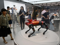 People are watching BabyAlpha, the 6th generation robot dog, at Deji Square in Nanjing, China, on August 20, 2024. This is the first artific...