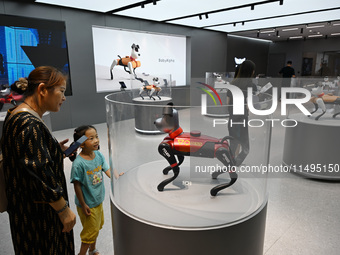 People are watching BabyAlpha, the 6th generation robot dog, at Deji Square in Nanjing, China, on August 20, 2024. This is the first artific...