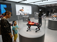 People are watching BabyAlpha, the 6th generation robot dog, at Deji Square in Nanjing, China, on August 20, 2024. This is the first artific...