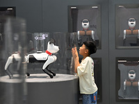 People are watching BabyAlpha, the 6th generation robot dog, at Deji Square in Nanjing, China, on August 20, 2024. This is the first artific...