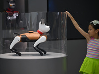 People are watching BabyAlpha, the 6th generation robot dog, at Deji Square in Nanjing, China, on August 20, 2024. This is the first artific...