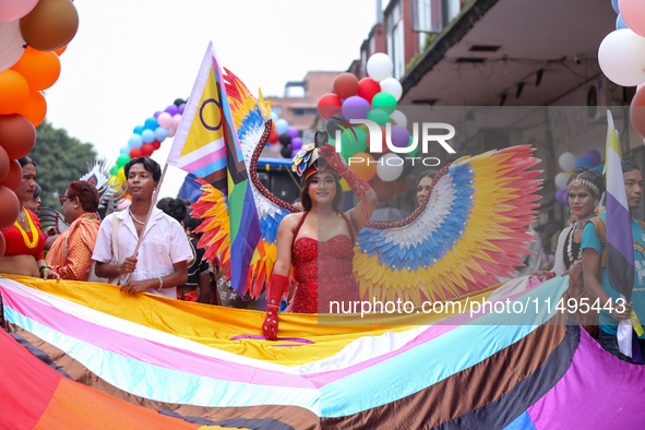 A member of the sexual minority LGBTIQ+ group of Nepal is holding the edge of a rainbow flag during the Gaijatra (Pride) parade in Kathmandu...