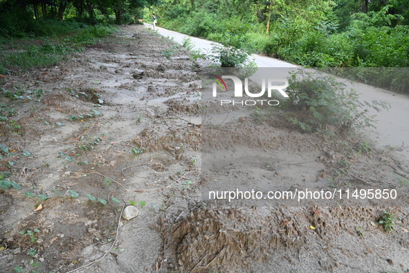 A view is showing a grave line for unidentified bodies, those who are being killed during the violence of the student movement at Rayer Baza...