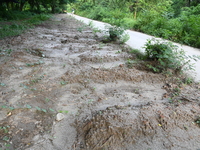 A view is showing a grave line for unidentified bodies, those who are being killed during the violence of the student movement at Rayer Baza...