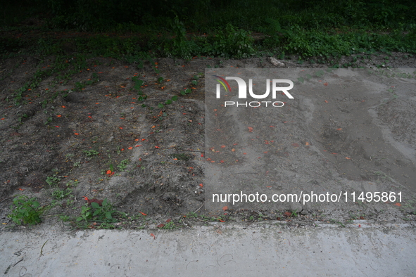 A view is showing a grave line for unidentified bodies, those who are being killed during the violence of the student movement at Rayer Baza...