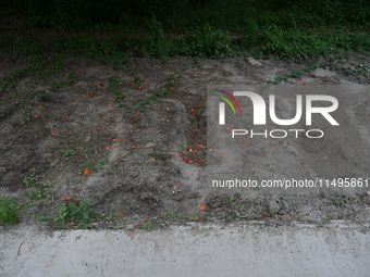 A view is showing a grave line for unidentified bodies, those who are being killed during the violence of the student movement at Rayer Baza...