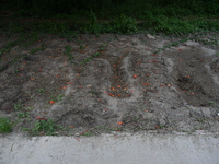 A view is showing a grave line for unidentified bodies, those who are being killed during the violence of the student movement at Rayer Baza...