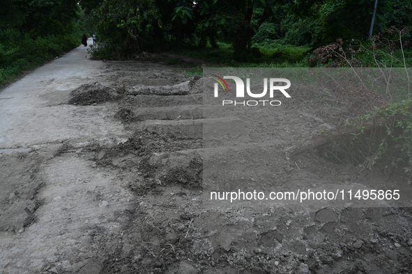 A view is showing a grave line for unidentified bodies, those who are being killed during the violence of the student movement at Rayer Baza...