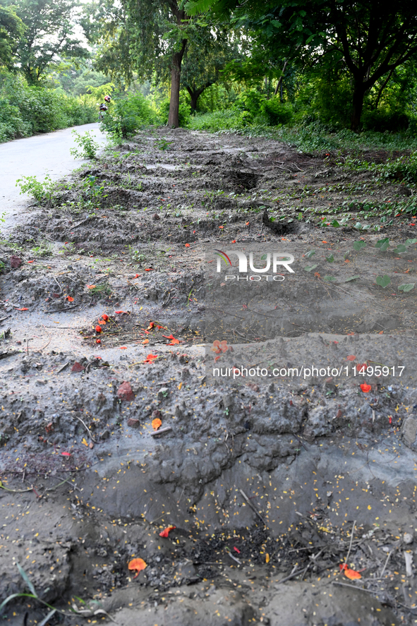 A view is showing a grave line for unidentified bodies, those who are being killed during the violence of the student movement at Rayer Baza...