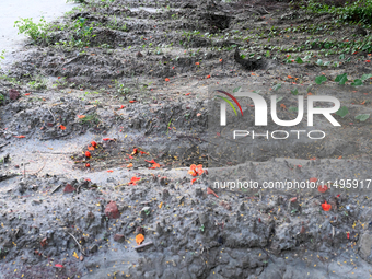 A view is showing a grave line for unidentified bodies, those who are being killed during the violence of the student movement at Rayer Baza...