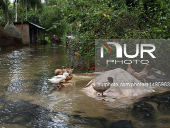 Bangladeshi people suffer from floods during heavy monsoon rains in rural Bangladesh on August 20, 2024. (