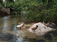 Bangladeshi people suffer from floods during heavy monsoon rains in rural Bangladesh on August 20, 2024. (