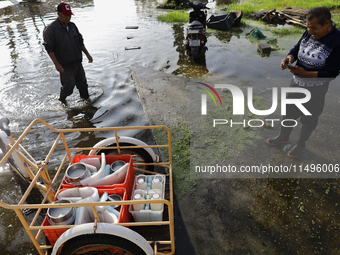 People are trying to walk on flooded streets in Chalco, State of Mexico, on August 20, 2024, where several families are being severely affec...