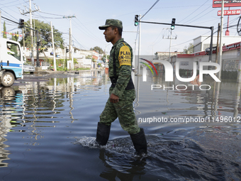 Members of the Mexican army are trying to walk on flooded streets in Chalco, State of Mexico, on August 20, 2024, where several families are...