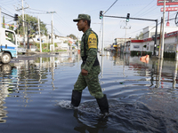 Members of the Mexican army are trying to walk on flooded streets in Chalco, State of Mexico, on August 20, 2024, where several families are...