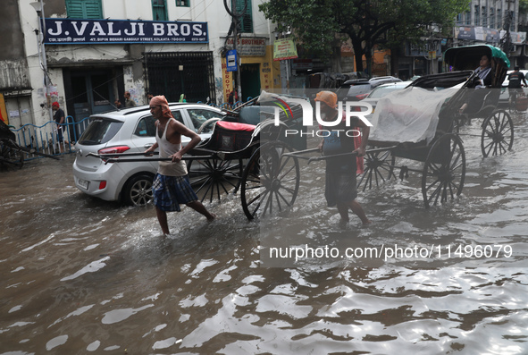 Rickshaw pullers are making their way through a water-logged street after heavy monsoon rain in Kolkata, India, on August 20, 2024. 