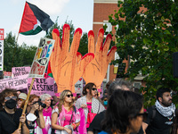 Pro-Palestine protesters organized a march on the first day of the Democratic National Convention on August 19, 2024. The protesters marched...