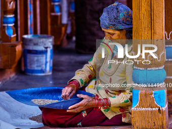 A woman is winnowing grain in the Sainji Village (Corn Village) in Mussoorie, Uttarakhand, India, on April 18, 2024. This village is famous...