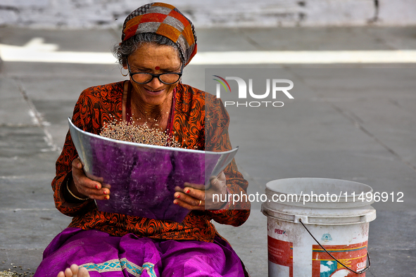 A woman is winnowing grain in the Sainji Village (Corn Village) in Mussoorie, Uttarakhand, India, on April 18, 2024. This village is famous...