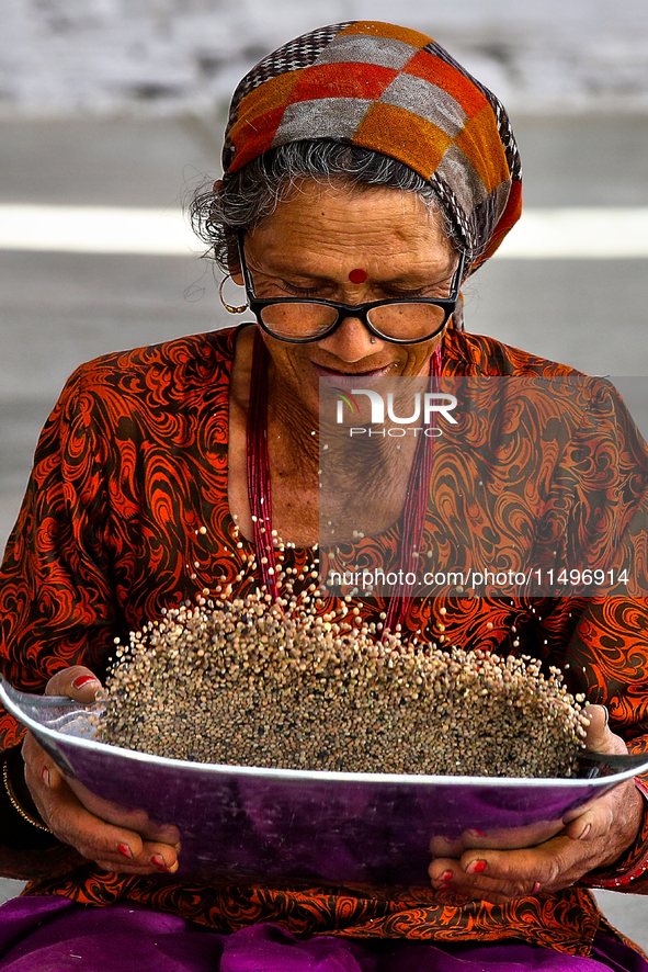 A woman is winnowing grain in the Sainji Village (Corn Village) in Mussoorie, Uttarakhand, India, on April 18, 2024. This village is famous...