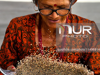 A woman is winnowing grain in the Sainji Village (Corn Village) in Mussoorie, Uttarakhand, India, on April 18, 2024. This village is famous...