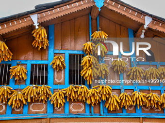 Corn is hanging outside a home in the Sainji Village (Corn Village) in Mussoorie, Uttarakhand, India, on April 18, 2024. This village is fam...