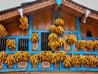 Corn is hanging outside a home in the Sainji Village (Corn Village) in Mussoorie, Uttarakhand, India, on April 18, 2024. This village is fam...