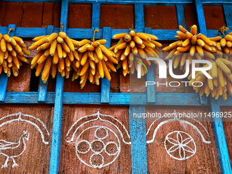 Corn is hanging outside a home in the Sainji Village (Corn Village) in Mussoorie, Uttarakhand, India, on April 18, 2024. This village is fam...