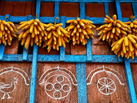 Corn is hanging outside a home in the Sainji Village (Corn Village) in Mussoorie, Uttarakhand, India, on April 18, 2024. This village is fam...