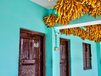 Corn is hanging outside a home in the Sainji Village (Corn Village) in Mussoorie, Uttarakhand, India, on April 18, 2024. This village is fam...