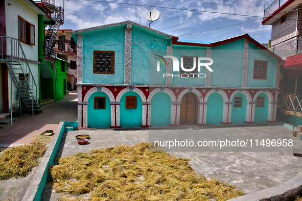 Peas are drying outside a home in the Sainji Village (Corn Village) in Mussoorie, Uttarakhand, India, on April 18, 2024. This village is fam...