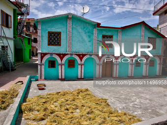 Peas are drying outside a home in the Sainji Village (Corn Village) in Mussoorie, Uttarakhand, India, on April 18, 2024. This village is fam...