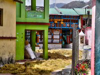 Peas are drying outside a home in the Sainji Village (Corn Village) in Mussoorie, Uttarakhand, India, on April 18, 2024. This village is fam...