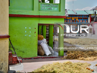 Peas are drying outside a home in the Sainji Village (Corn Village) in Mussoorie, Uttarakhand, India, on April 18, 2024. This village is fam...