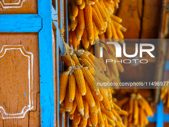 Corn is hanging outside a home in the Sainji Village (Corn Village) in Mussoorie, Uttarakhand, India, on April 18, 2024. This village is fam...