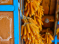 Corn is hanging outside a home in the Sainji Village (Corn Village) in Mussoorie, Uttarakhand, India, on April 18, 2024. This village is fam...