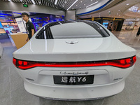 A new energy vehicle is displayed at a Yuanhang auto shop in Shanghai, China, on August 21, 2024. (