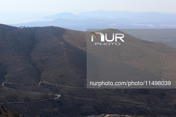 Aftermath of fire breaks out in Barnavas, a region in East Attica, on the afternoon of August 11, 2024, burning over 105,000 acres of land a...