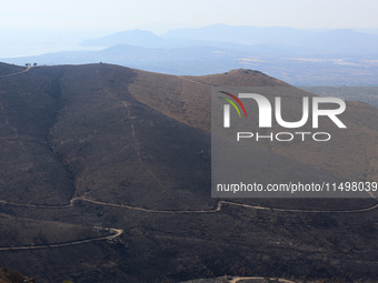 Aftermath of fire breaks out in Barnavas, a region in East Attica, on the afternoon of August 11, 2024, burning over 105,000 acres of land a...