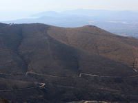 Aftermath of fire breaks out in Barnavas, a region in East Attica, on the afternoon of August 11, 2024, burning over 105,000 acres of land a...