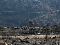 Aftermath of fire breaks out in Barnavas, a region in East Attica, on the afternoon of August 11, 2024, burning over 105,000 acres of land a...