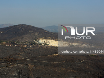 Aftermath of fire breaks out in Barnavas, a region in East Attica, on the afternoon of August 11, 2024, burning over 105,000 acres of land a...